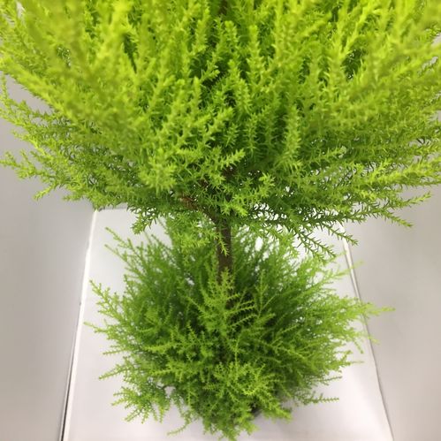 GOLDCREST STAM DUOBOLL K:14CM H:60CM x7