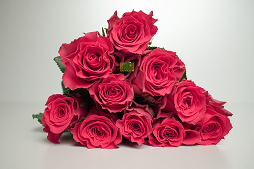 produktbild för Pink Rhodos Florist Selection