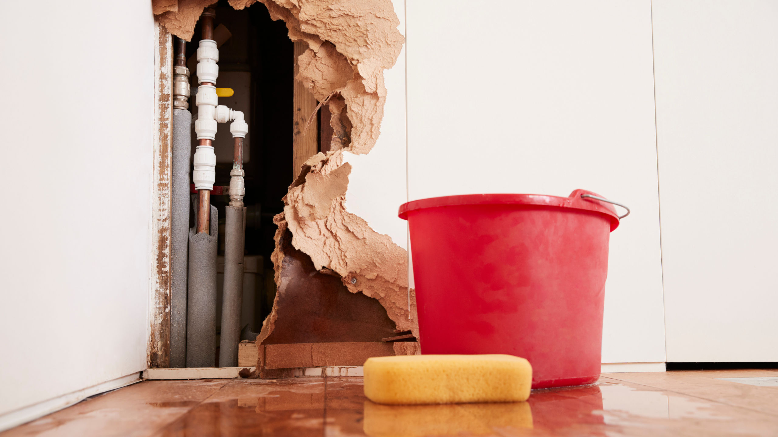 FAQS about Water Damage Restoration Services in Smithers, WV