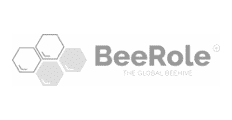 BeeRole logo