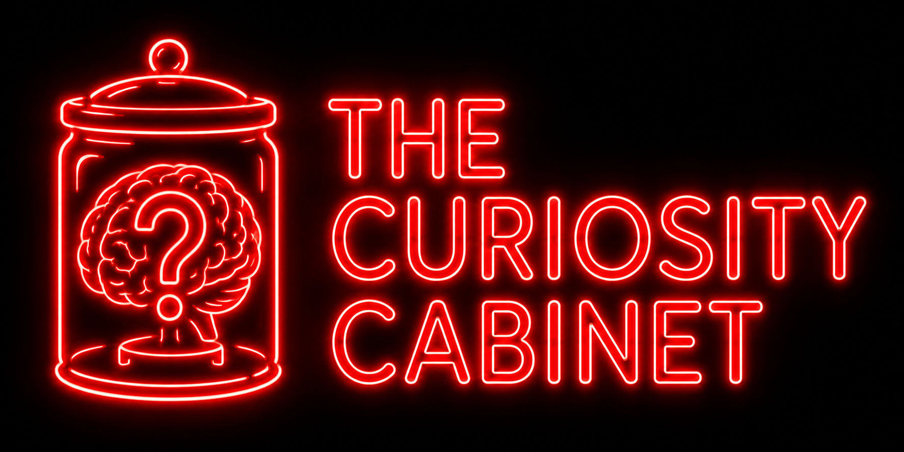The Curiosity Cabinet