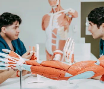 Imagen de la carrera Kinesiología