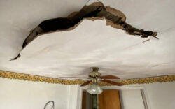 drywall services