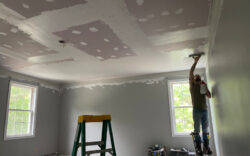 iplaster services