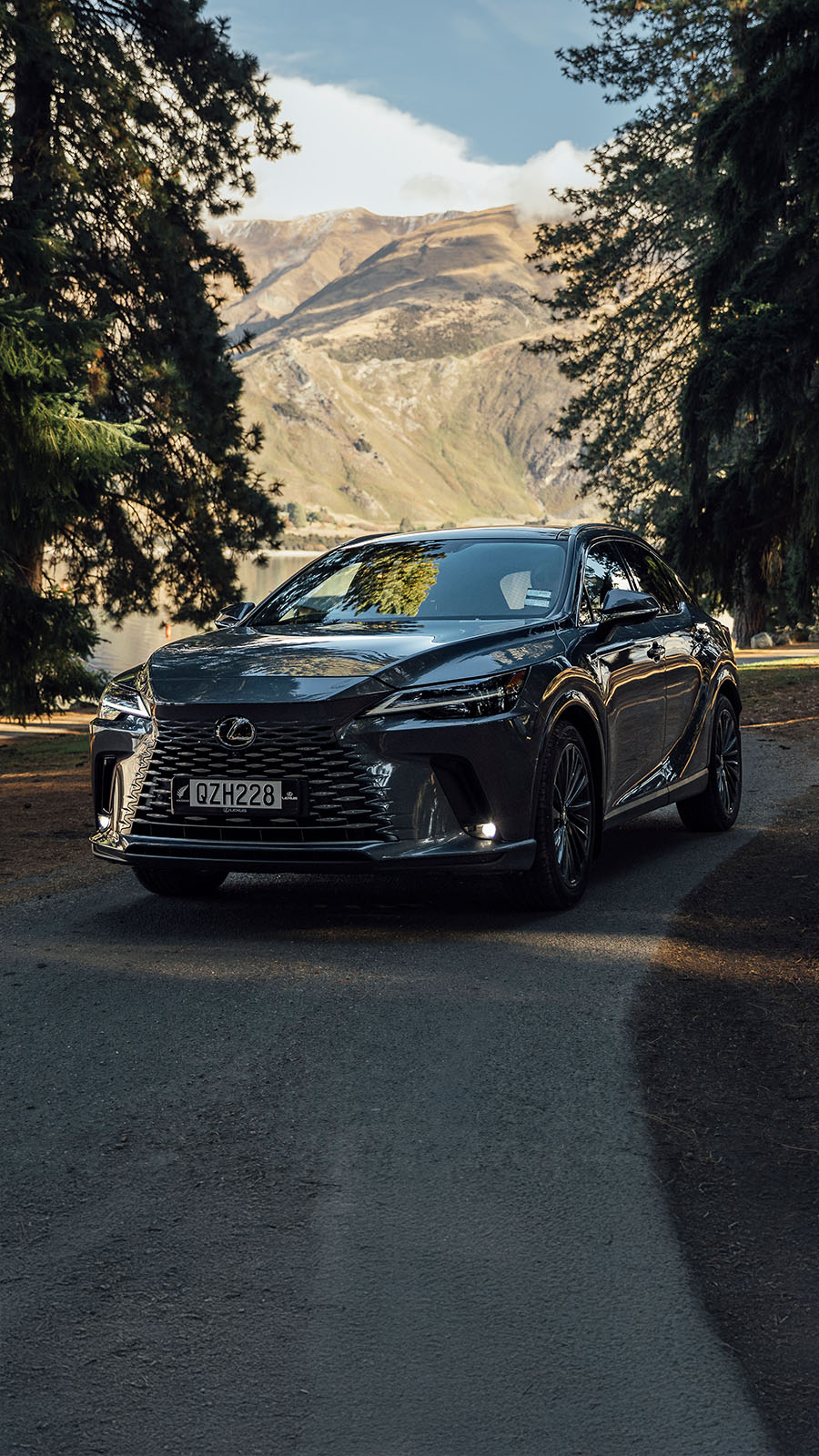 Giltrap Lexus NZ