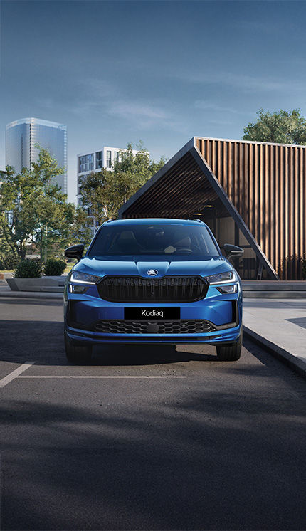 Blue skoda kodiaq parked