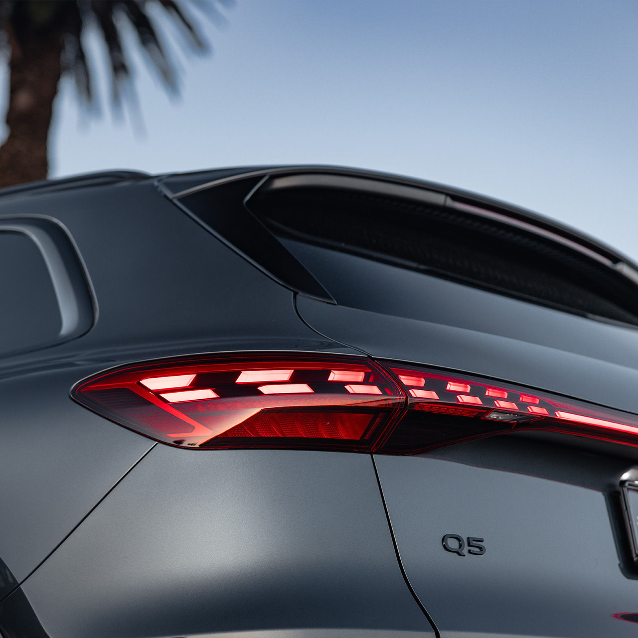Audi Q5 rear tailights