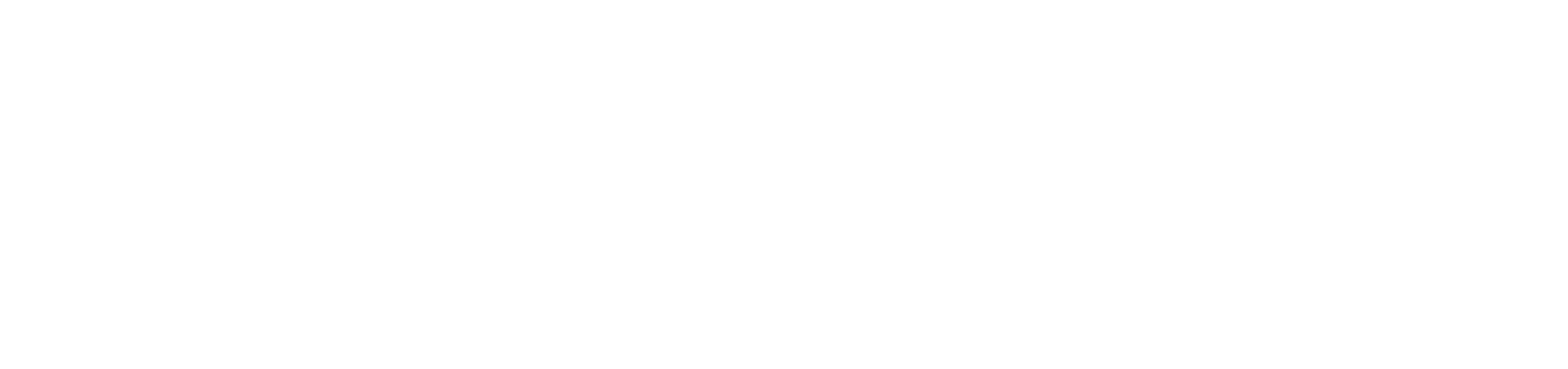 Farizon logo