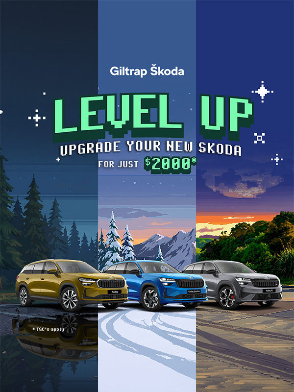 Skoda Level up pixel art