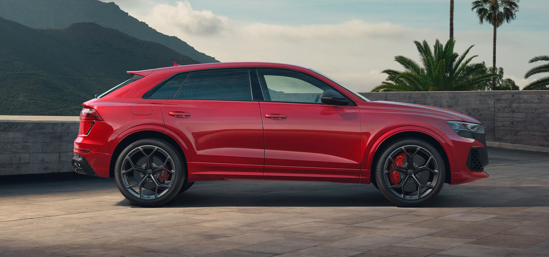 RS Q8 Sideview