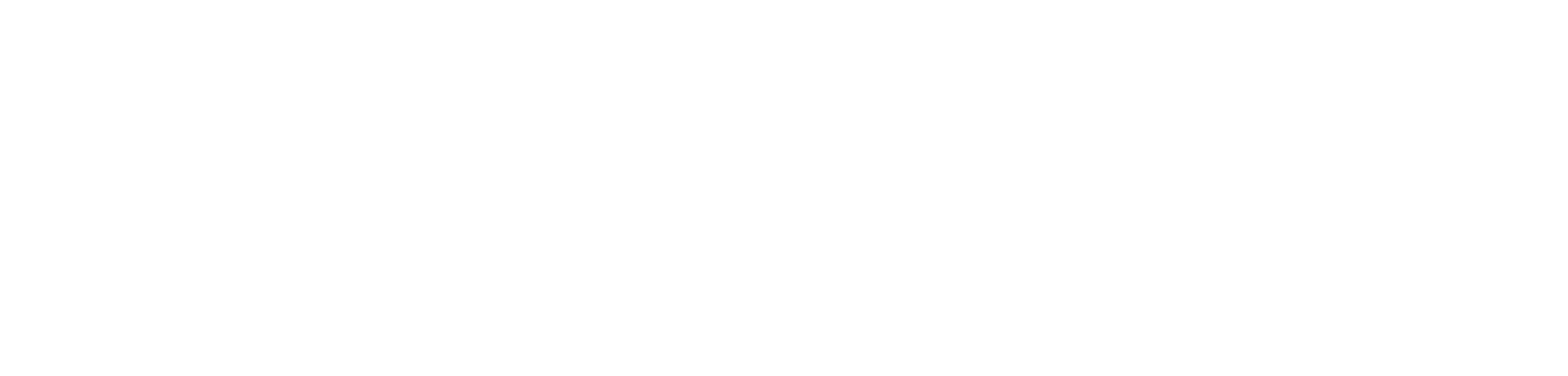 NZME logo