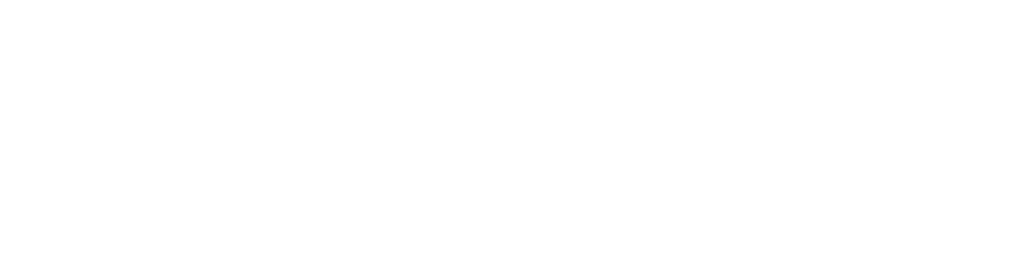 Zeekr Logo