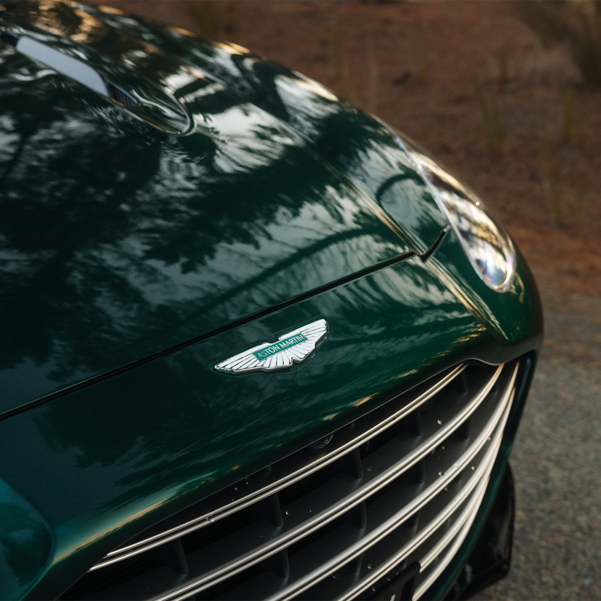 Aston Martin bonnet and logo
