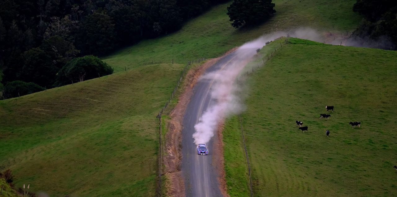 Rally New Zealand to Return to the World Stage in 2020