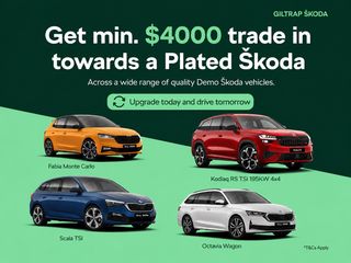 Skoda Karoq TSI 110kW