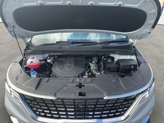 Kia Carnival Deluxe