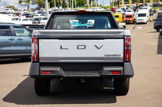 LDV Terron 9
