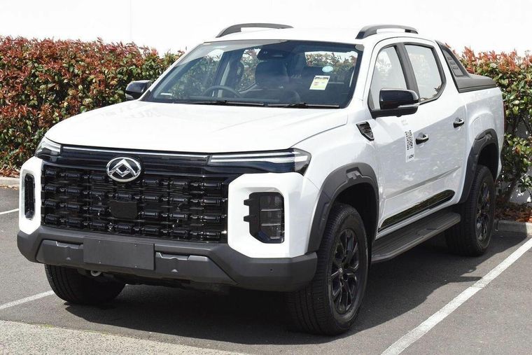 LDV T60