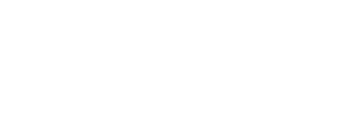 Vyro