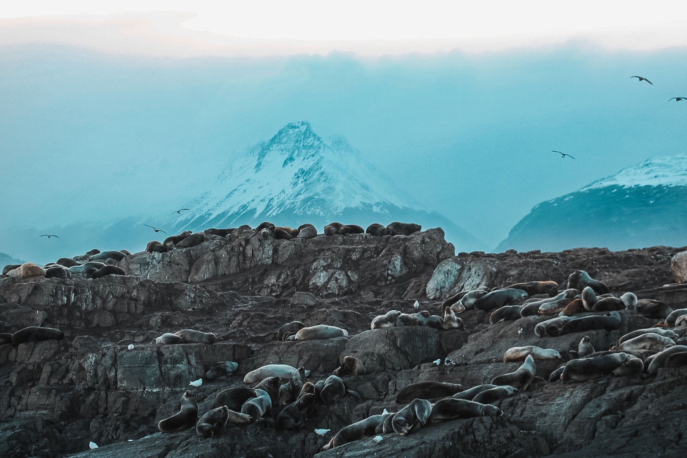 Patagônia · Puerto Varas → Ushuaia