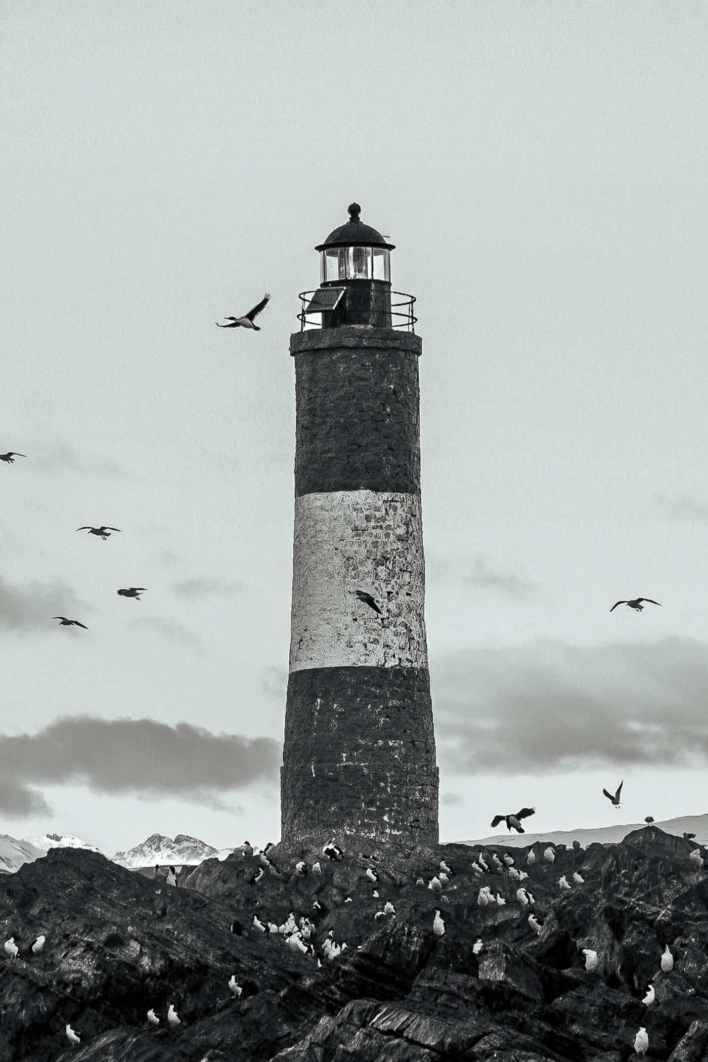 Patagônia · Puerto Varas → Ushuaia