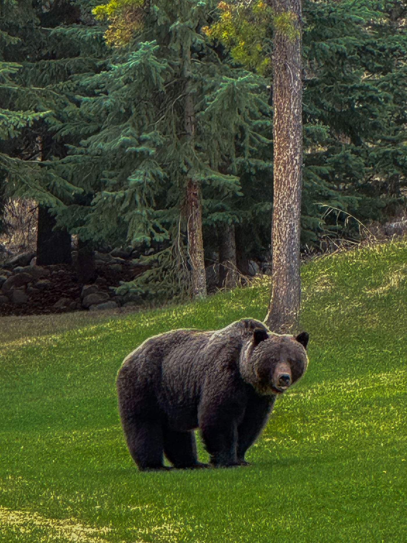 Jasper · Rocky Mountains