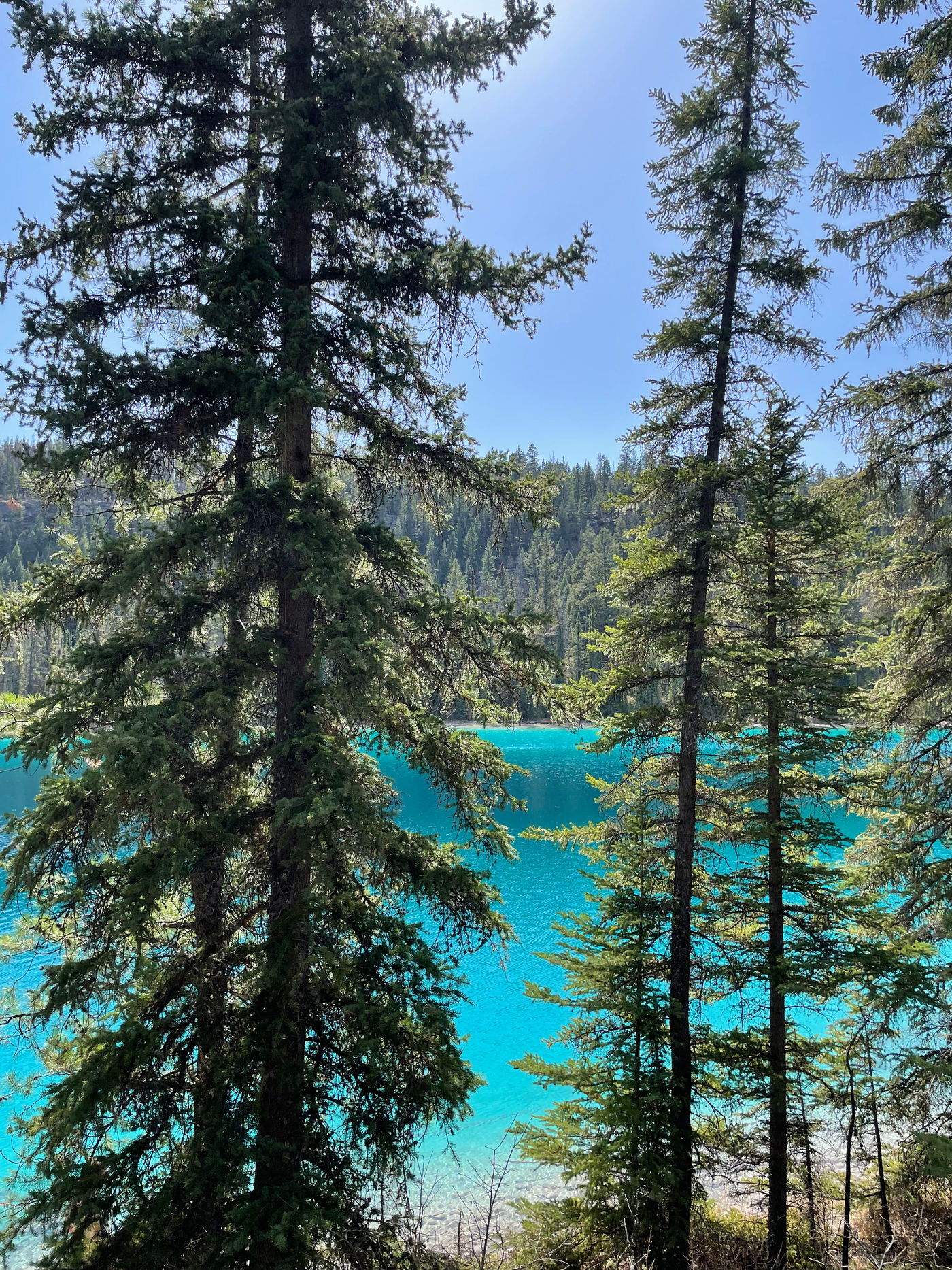 Jasper · Rocky Mountains
