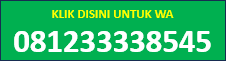 TOMBOL WA.png