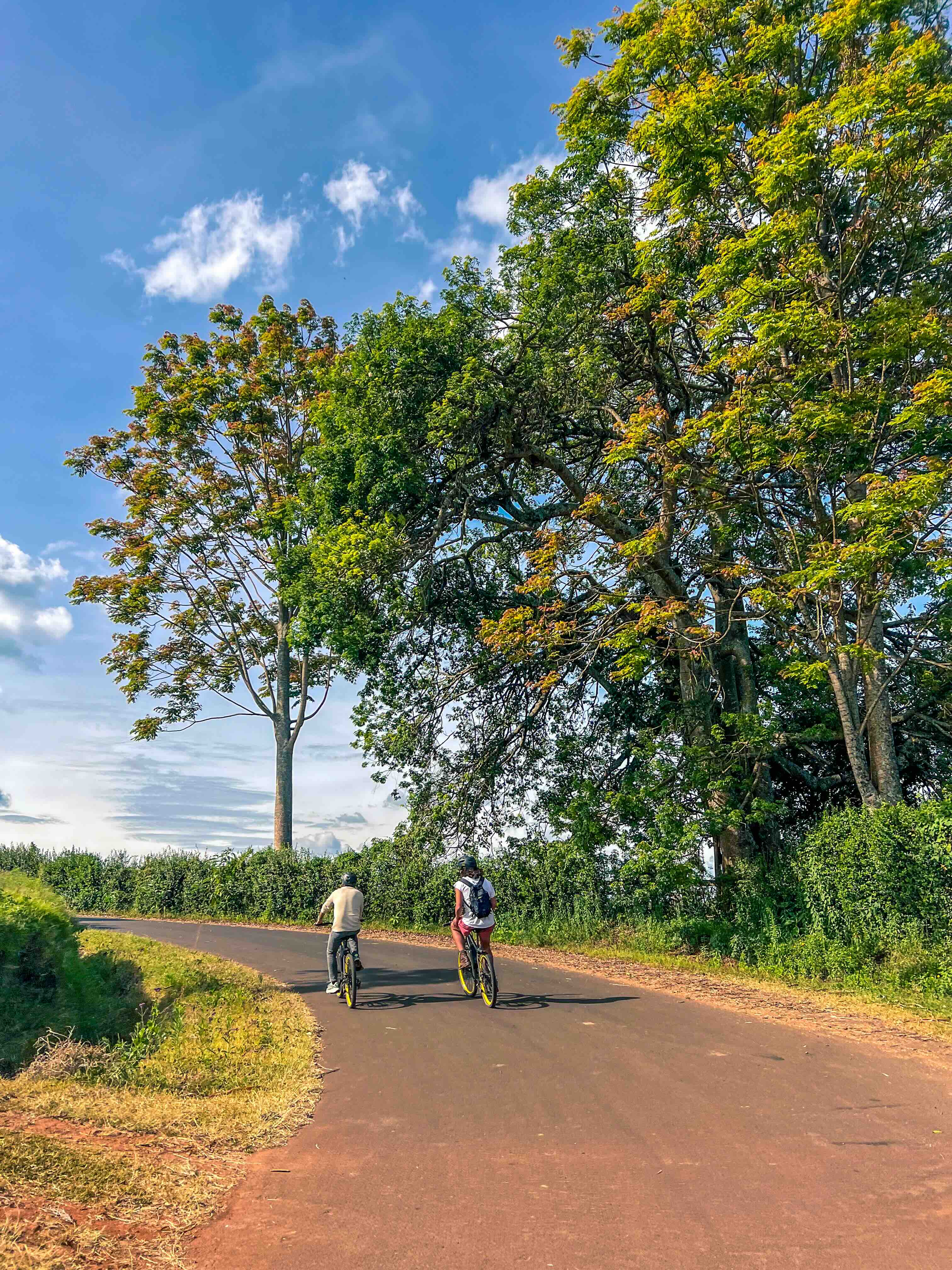 Popular Cycling Routes in Tigoni: Best Scenic Trails