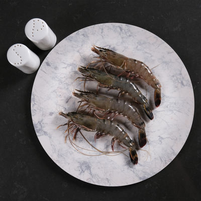 FROZEN TIGER PRAWN HOSO 16/20