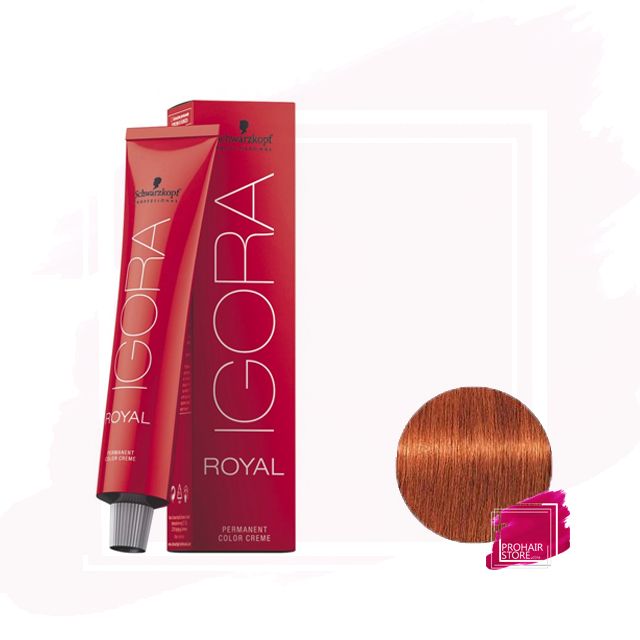 Schwarzkopf Igora Royal Tinte Permanente 7-77 - Rubio Medio Cobrizo Intenso 60ml