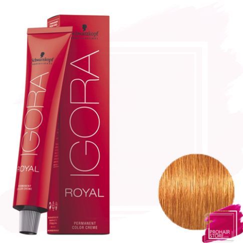 IGORA ROYAL 9.7 RUBIO MUY CLARO COBRIZO – TINTE IGORA 9-7 SCHWARZKOPF 60 ML  (OBSEQUI LOCION ACTIVADORA) –