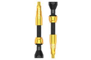 Set di valvole Lezyne CNC TLR 44 mm Oro