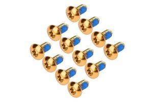 Reverse Disc Rotor Screw 12 pieces - Gold