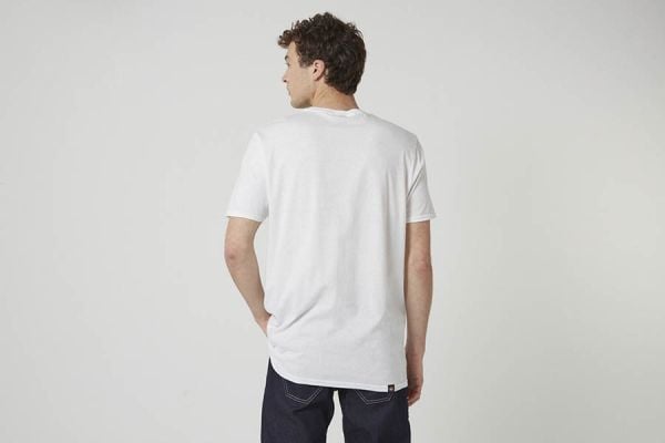 Cinelli Columbus Scratch T-shirt White