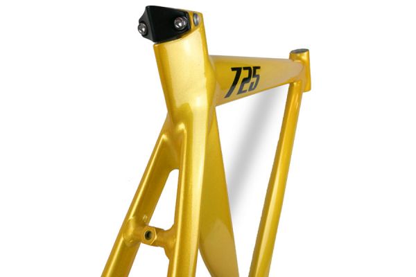 Leader 725 Frame - Goud