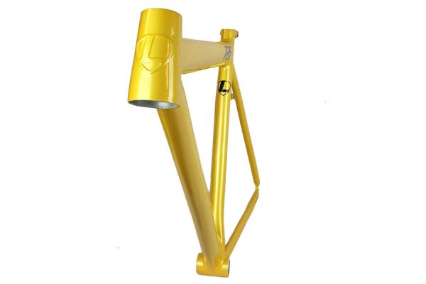 Leader 725 Frame - Goud