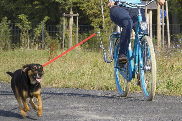 M-Wave Fahrrad Hundeführer und Leine