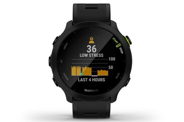 Garmin Forerunner 55 Smartwatch GPS - Black