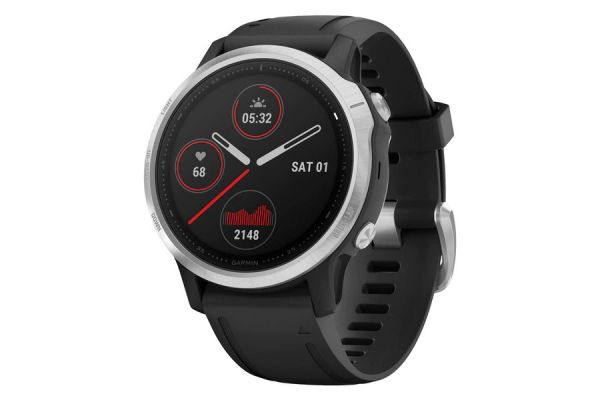 Montre Intelligente Garmin Fenix 6S Noir/Argent