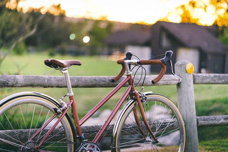 6KU Helen 16-Versnellingen Stadsfiets - Rose Gold