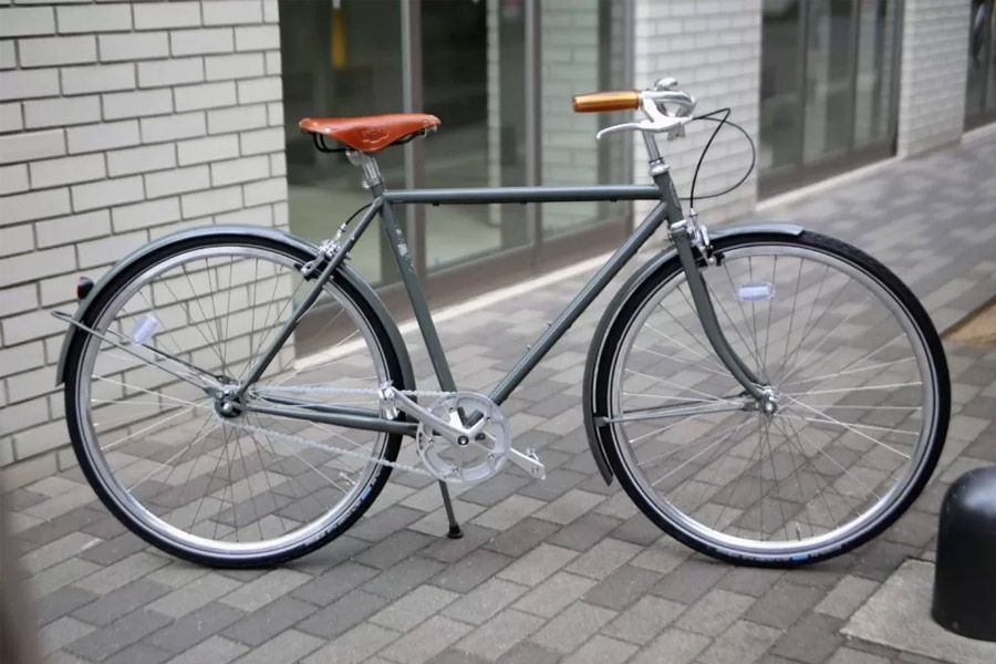 Bicicletta da città Classica Pelago Bristol 3C Grigio