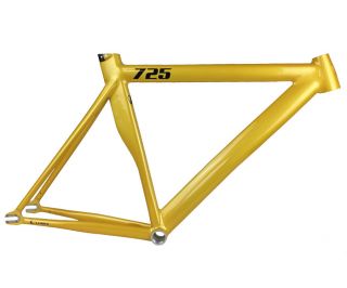 Leader 725 Frame - Gold Lit Gloss