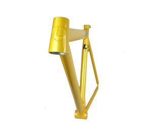 Leader 725 Frame - Goud