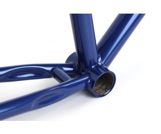 Cuadro Santafixie Wild Navy