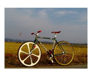 Teny Rim Six Spoke Fixed Gear Voorwiel - Wit