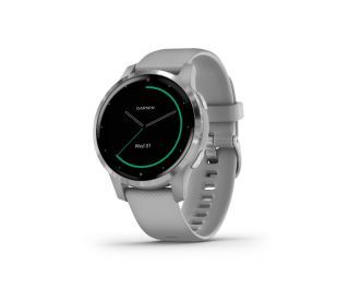 Garmin Vivoactive 4S Music Powder Gray/Silver Smartwatch