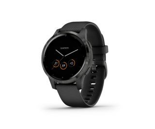 Garmin Vivoactive 4S Music Powder Noir/Ardoise - Montre Intelligente