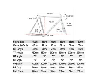 Leader EQNX Frame - Zwart/Wit