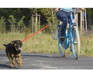 Guide et laisse chiens Vélo M-Wave